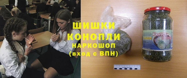 гидра Богородск