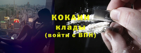 mix Богородицк