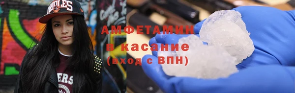 гидра Богородск