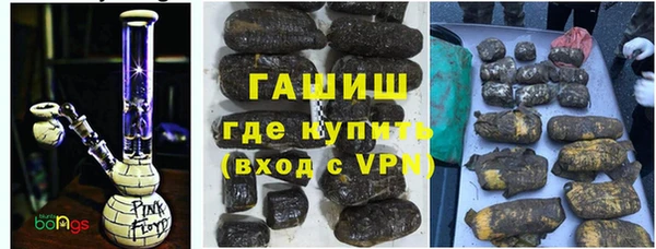 гидра Богородск
