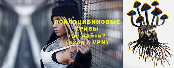 гидра Богородск