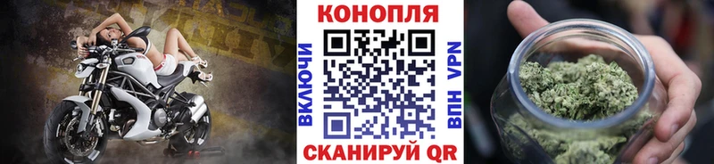 Конопля Bruce Banner  Череповец 
